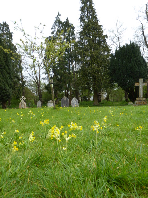 St Mary's in Spring